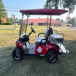 Electric <b>2</b> Seater Lifted Golf Cart Off Road Utility Buggy High Suspension Compact <b>Passenger</b> Vehicle For Sale - Product Image 2