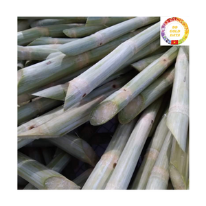 Canne à sucre congelée |   Bâtonnets de pommes de terre pelées IQF, goût sucré, haute teneur en Brix, pour jus, vente en gros, certifiés ISO - Product Image 6