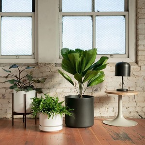 Maceta Compacta de Corcho para Plantas de Interior - Product Image 1