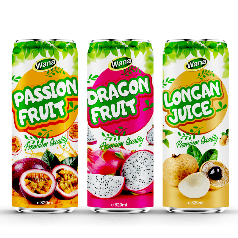 OEM Canned 500ml Fruit Vegetable Juice