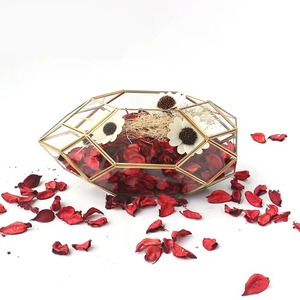 Terrario de Vidrio con Forma Única para Decoración de Mesa de Sala de Estar Moderna y Presentación Interior Elegante en Hogares Contemporáneos - Product Image 3