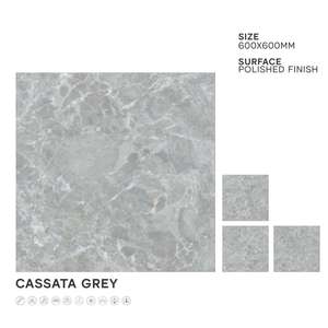 Latest Collection Glacier Nero Digital Porcelain 9mm Tiles 600x600mm Marble 60x60cm Modern Interior Terrazzo Hall Firebrick - Product Image 4