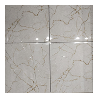 Importateurs, distributeurs, grossistes et revendeurs de carreaux mondiaux : Collection d'échantillons de carreaux en porcelaine en formats 60x60cm et 60x120cm pour l'exportation
