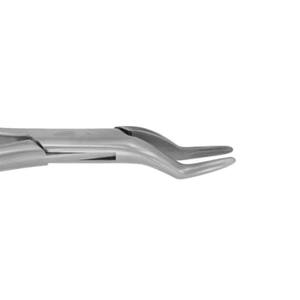 Dental Extraction Forceps High Quality Resistant Dental Surgical Instrument OEM ODM Dental Forceps On Sale - Product Image 4
