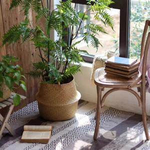 Juego de 3 cestas plegables de mimbre con asas, cestas de almacenamiento hechas a mano, venta al por mayor, ecológicas, hechas en Vietnam - Product Image 4