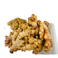 Natuurlijke Gember (Hele Gemberwortel/Jahe)-100% Cao Bang Vietnam 20kg Mesh Zak Karton 2 Jaar Houdbaarheid |   Klaar voor export (WA)