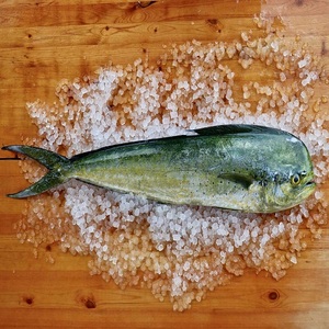 Prix de gros pour le mahi-mahi entier congelé, pour une approvisionnement fiable en fruits de mer, avec une texture et un goût excellents et une utilisation polyvalente. - Product Image 5