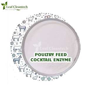 Poultry Feed Cocktail <b>Enzyme</b> High-Grade <b>Enzymes</b> for Animal Feed - Versatile Solutions From Bangalore, Karnataka, India - Product Image 1