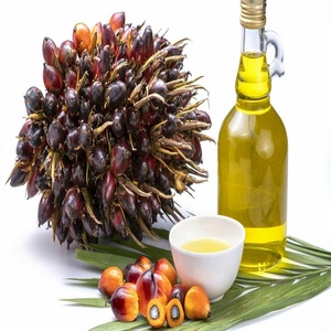Huile de Palme Raffinée Biologique de Haute Qualité pour Cuisson, Friture et Pâtisserie, Pureté 100%, Fractionnée, en Fûts en Gros, Exportation Royaume-Uni, pour Acheteurs en Gros 24 - Product Image 5