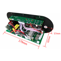 D400PRO Mini Digital Audio DIY Amplifier 5.0 Output Mono dengan Dual MIC AUX Inputs 12V/220V Power Supply untuk Subwoofer