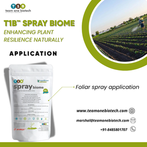 Biostimulant foliaire microbien en spray pour la productivité des cultures - Product Image 4