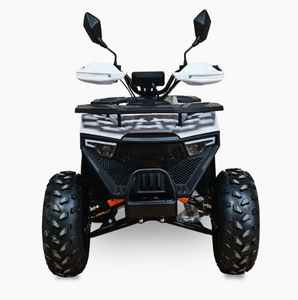Quad tout-terrain adulte Chithan 125cc 4 temps à transmission par chaîne automatique 1000W essence 4x4 avec blocage de différentiel CE 3 ans OEM ODM DIY - Product Image 3