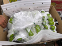 Verse Export Kwaliteit Cavendish Bananen Uit Vietnam Heerlijke Smaak En Voedingsstoffen Verpakt Voor Supermarkten En Distributeurs