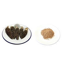 Boisson santé à base de poudre de champignons morilles