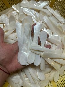 Small Spoons Mother of Pearl Handmade Shell Spoon Natural Eco Friendly Coffee Tea Dessert Spoon Wholesale Vietnam Supplier - Product Image 5