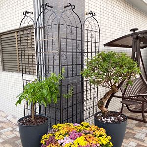 Set di 4 tralicci da giardino in metallo antiruggine da 220 cm x 50 cm per piante rampicanti, supporto per fiori da esterno - Product Image 6
