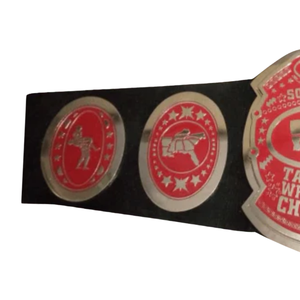 Ceinture de champion de lutte Southern Tag Team, design rouge et argenté, sangle noire, ceintures de titre de collection haut de gamme - Product Image 3