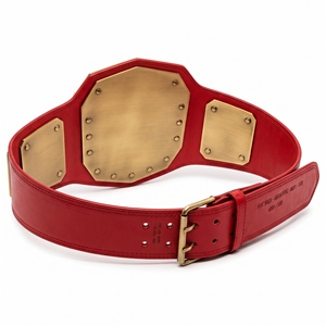 Cinturón de Campeonato Profesional para Deportes de Contacto, Diseño de Premio de Calidad Premium y Construcción Duradera para Lucha Libre - Product Image 2