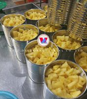 Verse ingeblikte ananas in siroop, ananasschijfjes, -brokjes & -hapjes |   Premium exportleverancier meneer Alex Truong |   Vietnam Delta