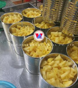 Canned Pineapple in Syrup – Pineapple Slices, Chunks & Tidbits | Premium Export Supplier // Mr.Tom - Product Image 3