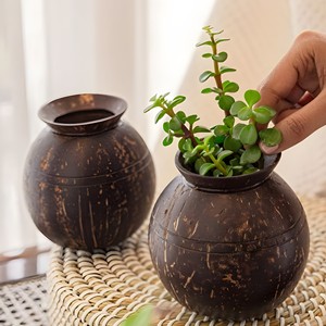 Macetas de lujo inspiradas en la naturaleza, decoración para el hogar, macetas de cáscara de coco, macetas hechas a mano - Product Image 1