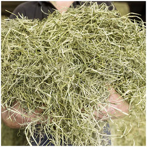 Heno de Timothy para Alimentación Animal, para Peces, Cerdos, Ganado y Caballos - Alta Calidad 500g - Product Image 4