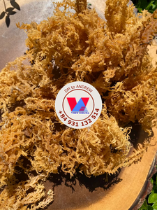 HIGH QUALITY 10kg Carton Dried Purple Sea Moss Raw Eucheuma Seaweed Low <b>Salt</b> For Food Grade Salad Gummy & Extraction - Product Image 4