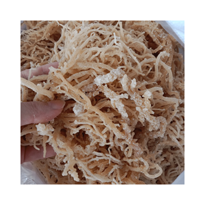 สาหร่าย Eucheuma cottonii สาหร่ายทะเลเค็มแห้งสำหรับทำสลัด - Product Image 2