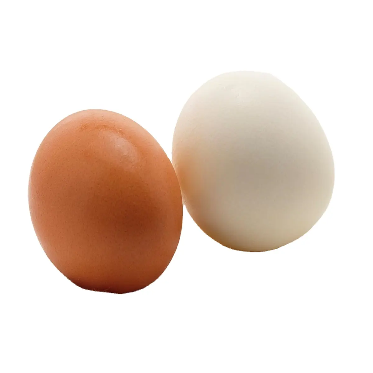 Dijual Telur Ayam Peternakan Coklat Putih Cina/Telur Meja Coklat dan Putih Cangkang Telur Ayam