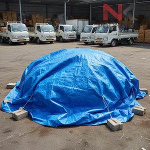 Bâche en PE durable et imperméable à prix abordable pour l'entreposage et les applications industrielles - Product Image 1