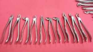 Forceps professionnel pour l'extraction des molaires supérieures, équipement chirurgical dentaire, construction de mâchoire de précision en acier inoxydable durable - Product Image 1