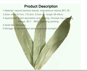 Feuilles de bambou séchées Feuilles entières de bambou gris séchées du Vietnam à bas prix/Ms.Laura + 84 896611913 - Product Image 3