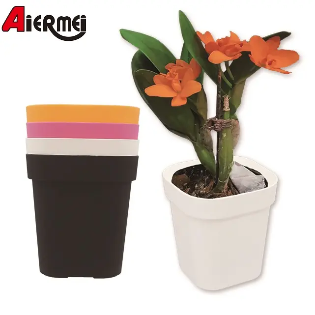 Macetas cuadradas para flores, Control de raíces, Cactus de flores, plantas suculentas, bonsái, macetas, CUL-409