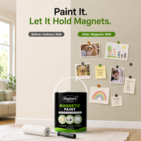 Revêtement mural intérieur à séchage rapide pour la maison, le bureau, la salle de classe, projets créatifs de bricolage, peinture magnétique réceptive aux particules de fer