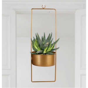 Maceta Colgante Moderna de Metal Dorado, Maceta de Pared para Interiores, Soporte para Plantas Geométrico Minimalista para Decoración de Sala de Estar - Product Image 1