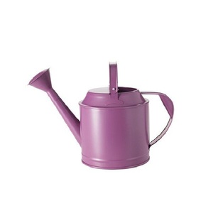 Arrosoir décoratif moderne en métal, tendance et frais, avec surface imprimée en émail, léger et durable pour l'intérieur et l'extérieur - Product Image 2