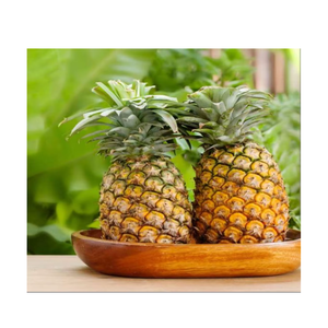 Piña Fresca Premium, Sabor Rico, Fruta Tropical de Granjas de Cultivo, para Venta al por Menor y al por Mayor en Mercados Internacionales, Ocean Link Exim - Product Image 5