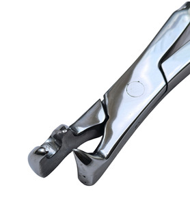 คีมตัดกีบม้าแบบสามง่าม ขนาด 12 นิ้ว สำหรับมืออาชีพ - Product Image 3