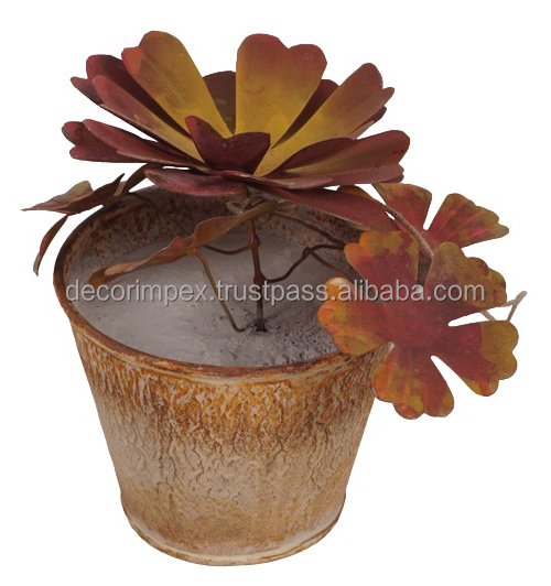 หลายสีธรรมชาติ