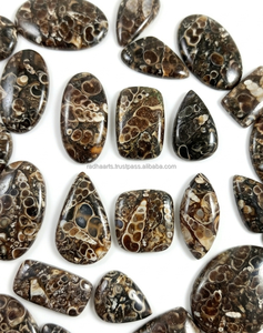 Venta al por Mayor de Cabujones de Ágata Turritella Únicos, en Forma de Pera Ovalada, Pulidos y Lisos, Ideales para la Fabricación de Joyería - Product Image 1