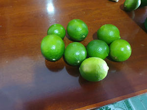 Lima sin semillas de Vietnam de alta calidad para suministro mayorista a compradores internacionales - Product Image 4