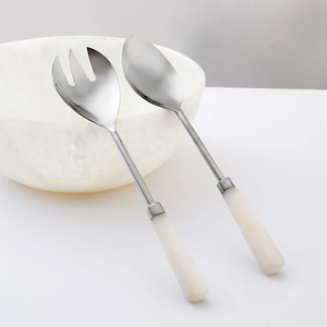 Juego de Cucharas para Servir Ensaladas de Acero Inoxidable con Mango de Resina de Diseño Clásico Ecológico y Color Personalizado, Nueva Tendencia - Product Image 1