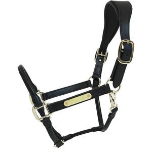 Harnais de polo réglable conçu pour un confort optimal, une manipulation sécurisée, l'entraînement, l'utilisation en écurie et les soins quotidiens équestres. - Product Image 1