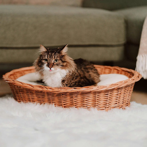 Lit pour animaux de compagnie rond en rotin tissé à la main avec coussin, confortable et doux, pour chat et chien, en osier naturel, fauteuil pour animaux de compagnie, confortable, écologique, fait à la main - Product Image 5