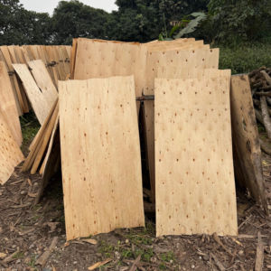 Láminas de Chapa de Madera de Eucalipto, Corte Rotatorio, Ecológicas y Duraderas, 1270 mm de Longitud, para Material de Núcleo de Contrachapado - Product Image 1