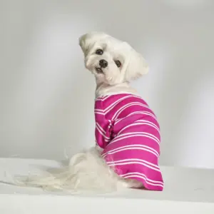 Roupas de camisa fofas para animais de estimação com logotipo personalizado ODM para cães e gatos