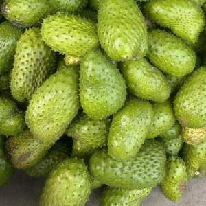 Pulpa de guanábana tropical congelada, ingrediente de fruta natural para batidos, jugos, postres, bebidas y producción de helados, Vietnam - Product Image 3