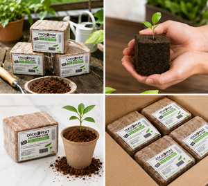 Grow Cube de Go Green Exports - Product Image 4