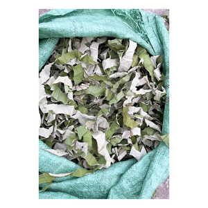 Feuilles de lotus séchées naturelles du Vietnam, vente en gros, ingrédient de thé aux herbes de qualité supérieure, emballage de 1 kg, fabricant OEM ODM - Product Image 4