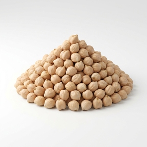 Garbanzos limpios sin piedras para la producción de hummus y falafel utilizados en la fabricación de alimentos a gran escala y en la industria alimentaria. - Product Image 1